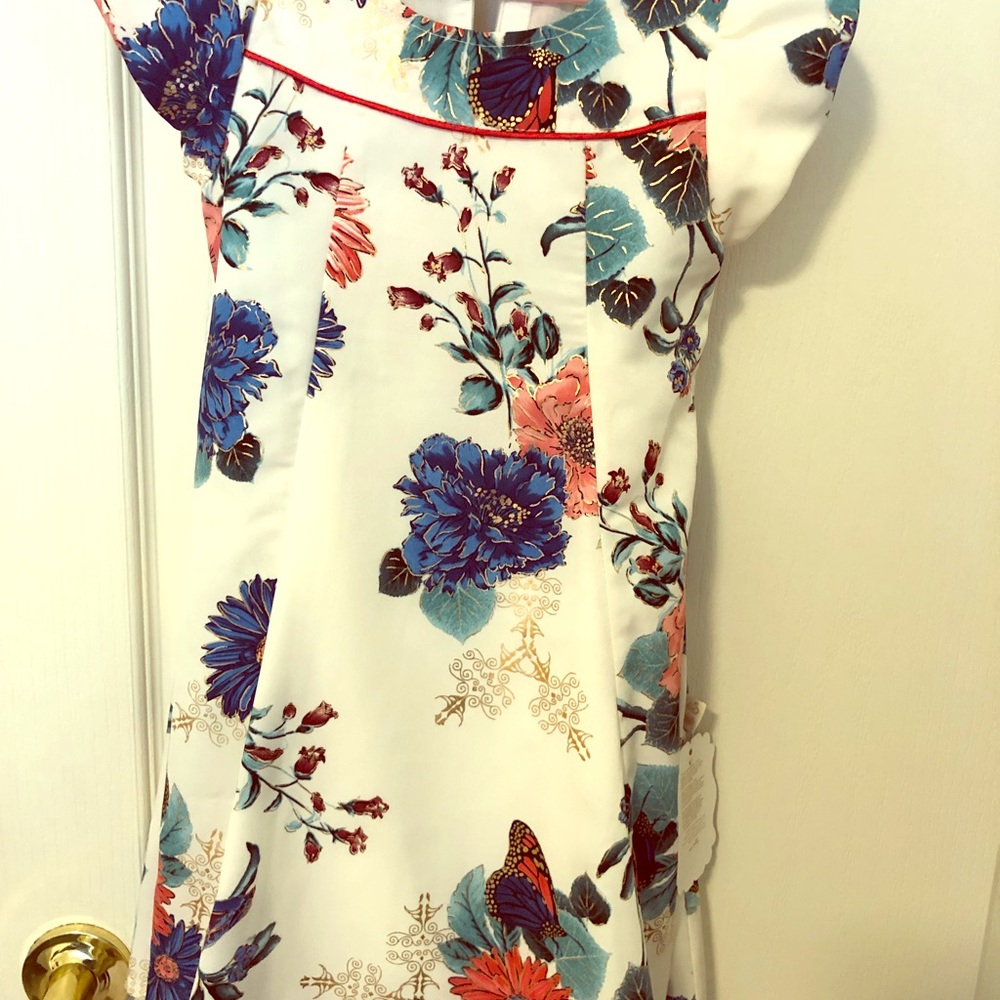 Beautiful Asian style A line dress.